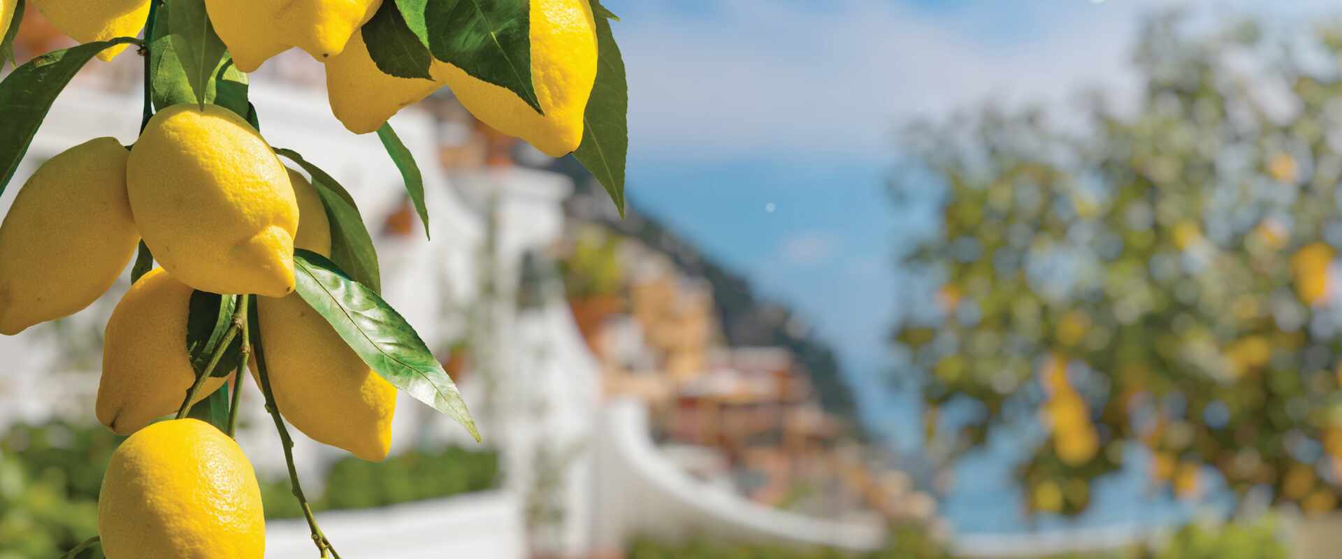 Amalfi Coast Lemons, Italy